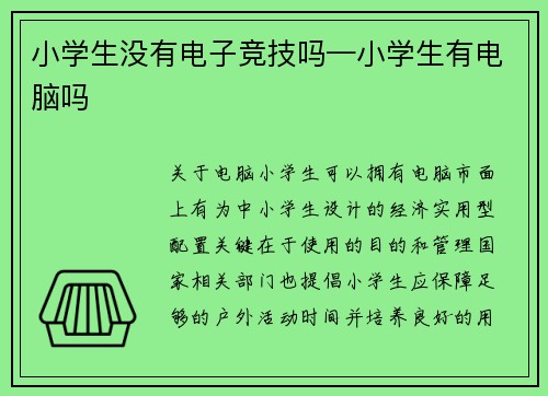 小学生没有电子竞技吗—小学生有电脑吗