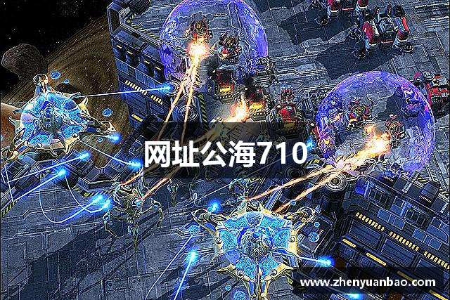 网址公海710